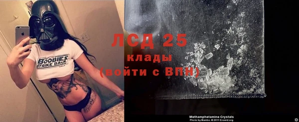 гашик Козельск