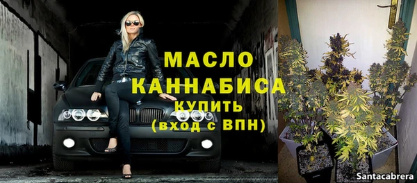гашик Козельск
