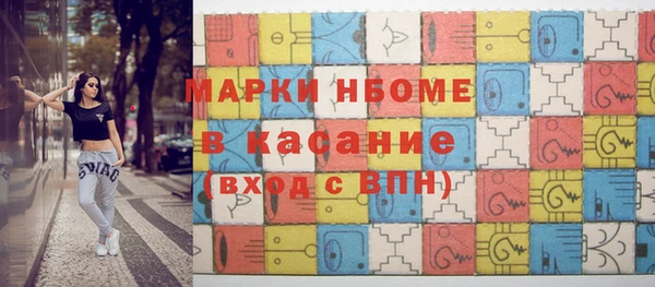 гашик Козельск