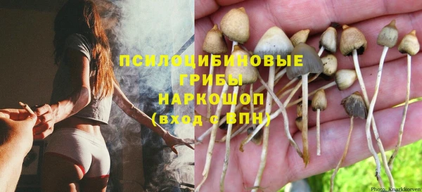 mdma Кодинск