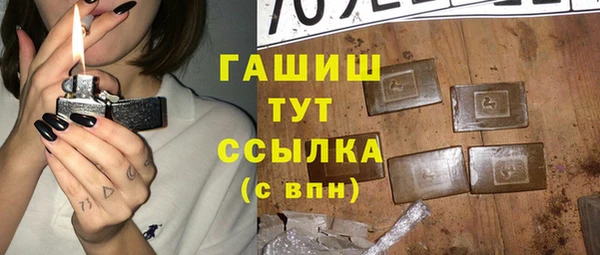 гашик Козельск