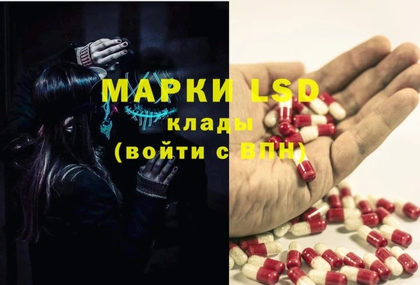гашик Козельск