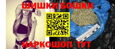 сатива Кингисепп