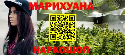 сатива Кингисепп