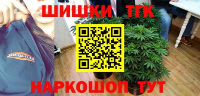 сатива Кингисепп