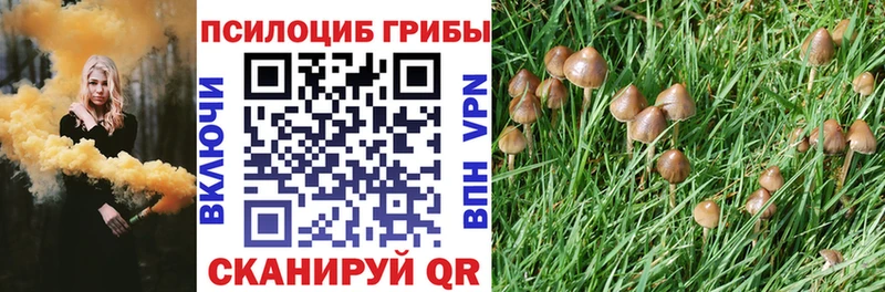 гидра ONION  сколько стоит  Междуреченск  Галлюциногенные грибы GOLDEN TEACHER 