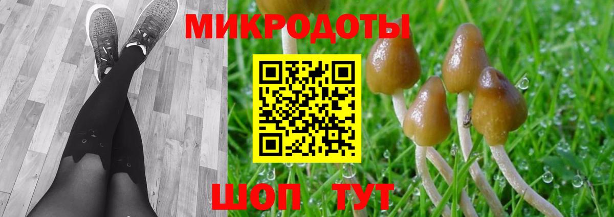 Галлюциногенные грибы мицелий  Вход с VPN  Междуреченск 