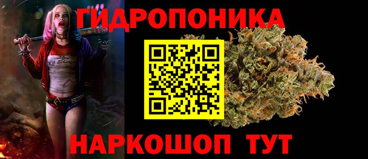 Каннабис сатива Междуреченск